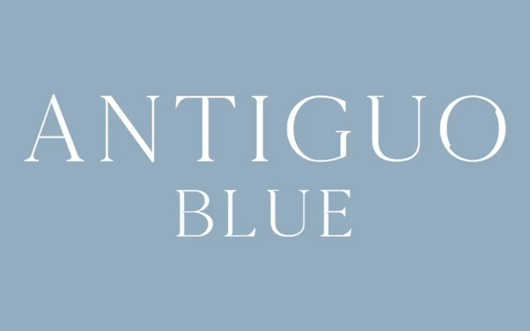 Antiguo Blue E-commerce Website & Brand