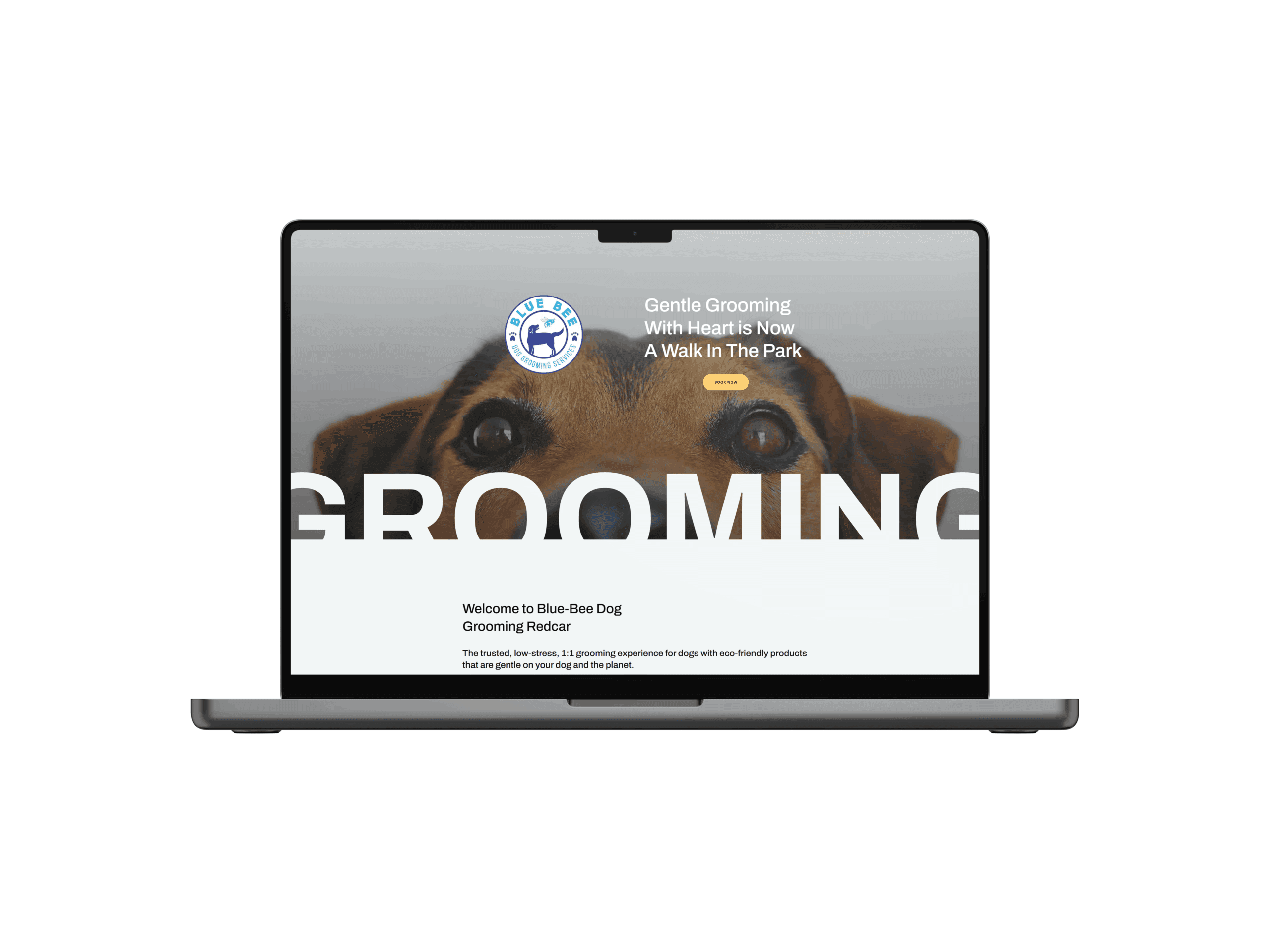 Blue Bee Dog Grooming Website Design | John Corner Blue Bee Dog Grooming Website Design | John Corner