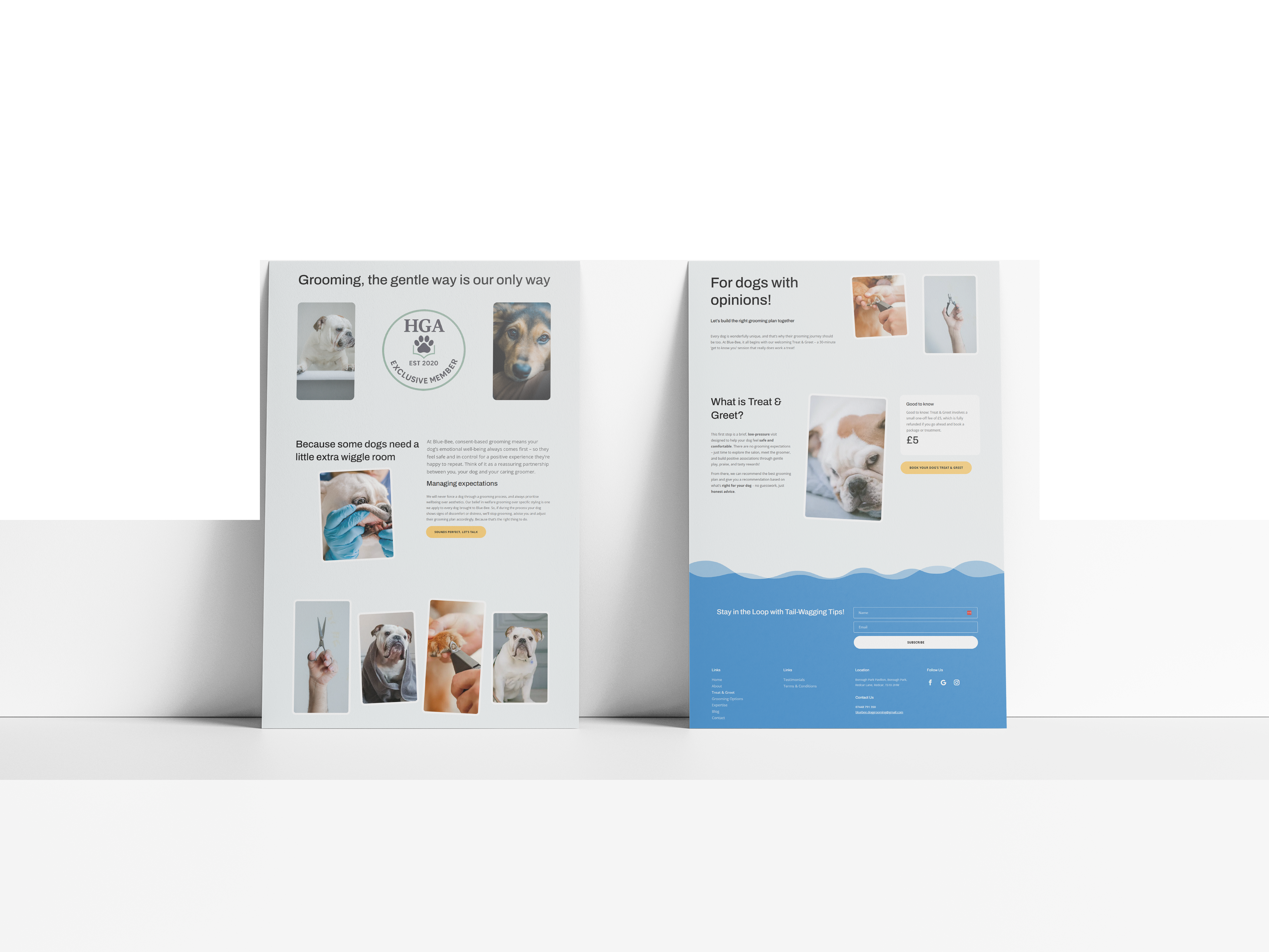 Blue Bee Dog Grooming Website Design | John Corner Blue Bee Dog Grooming Website Design | John Corner