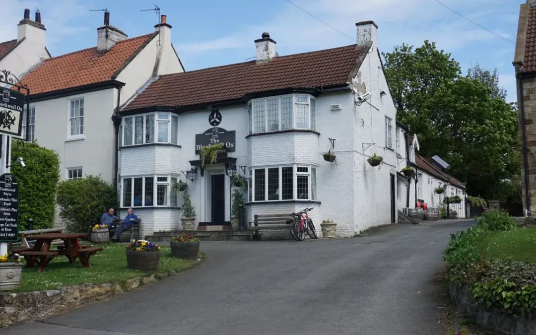 Blackwell Ox Web Development & Photography