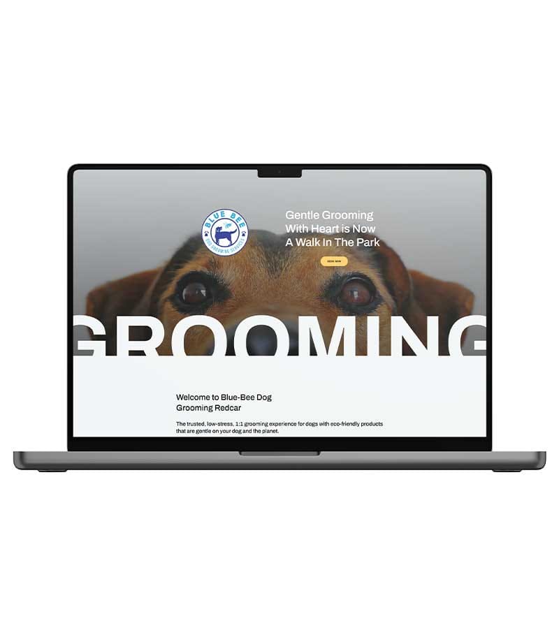 website design for Blue Bee Dog Grooming in Redcar