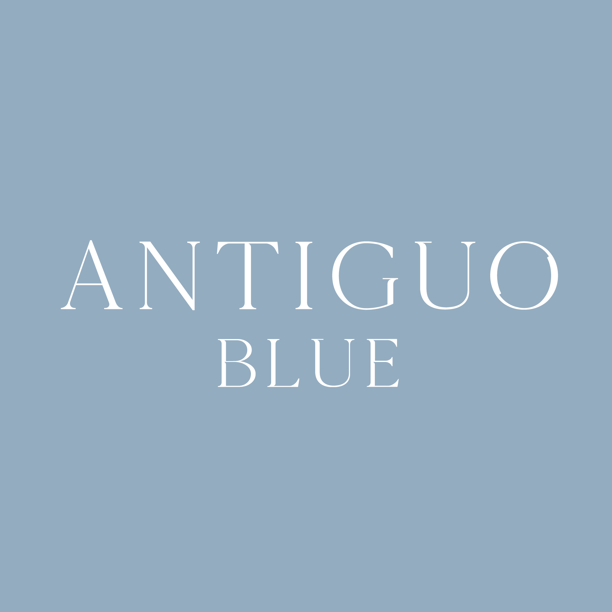 Antiguo Blue Web Development, SEO, E-commerce, and Branding Overview