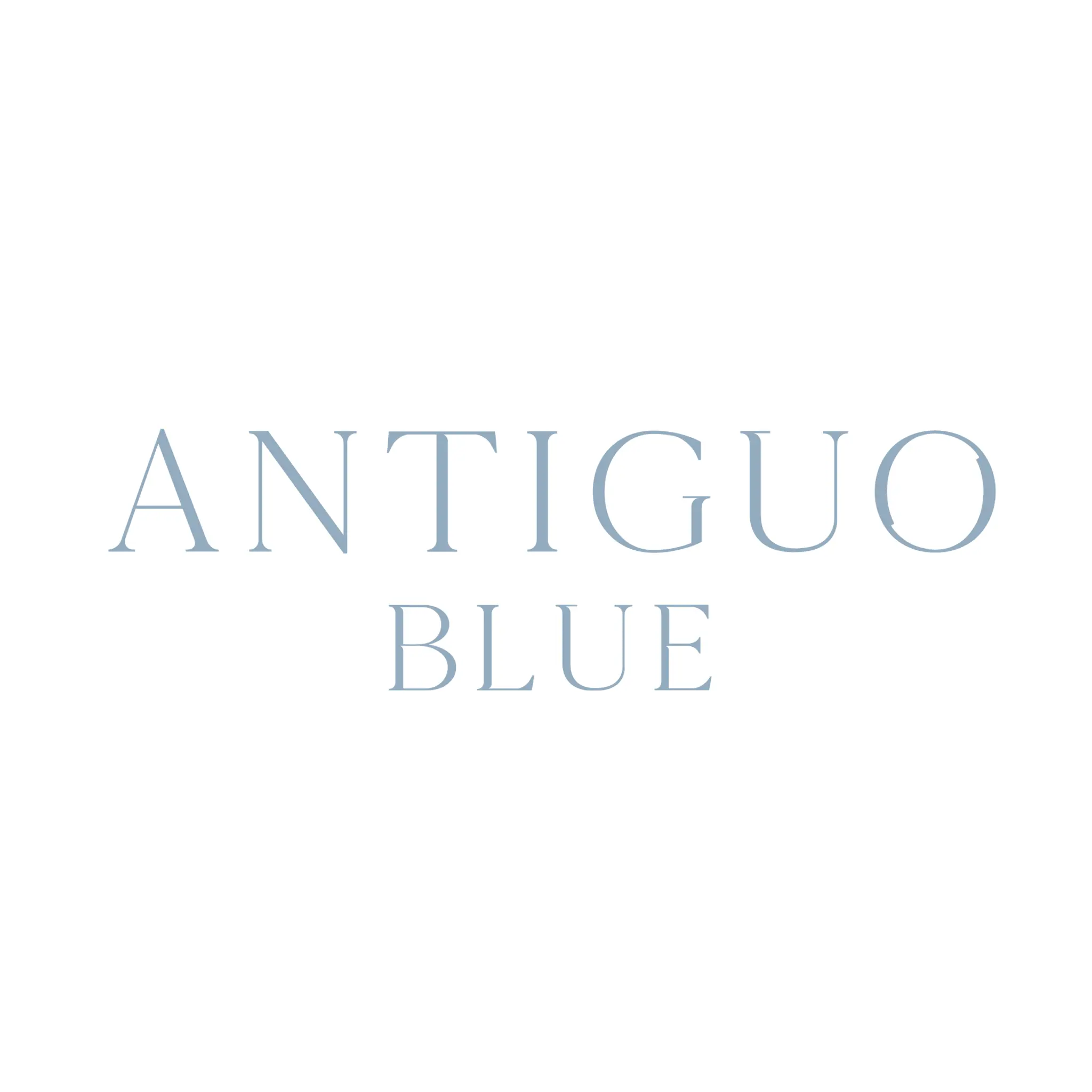 Antiguo Blue Web Development, SEO, E-commerce, and Branding Overview