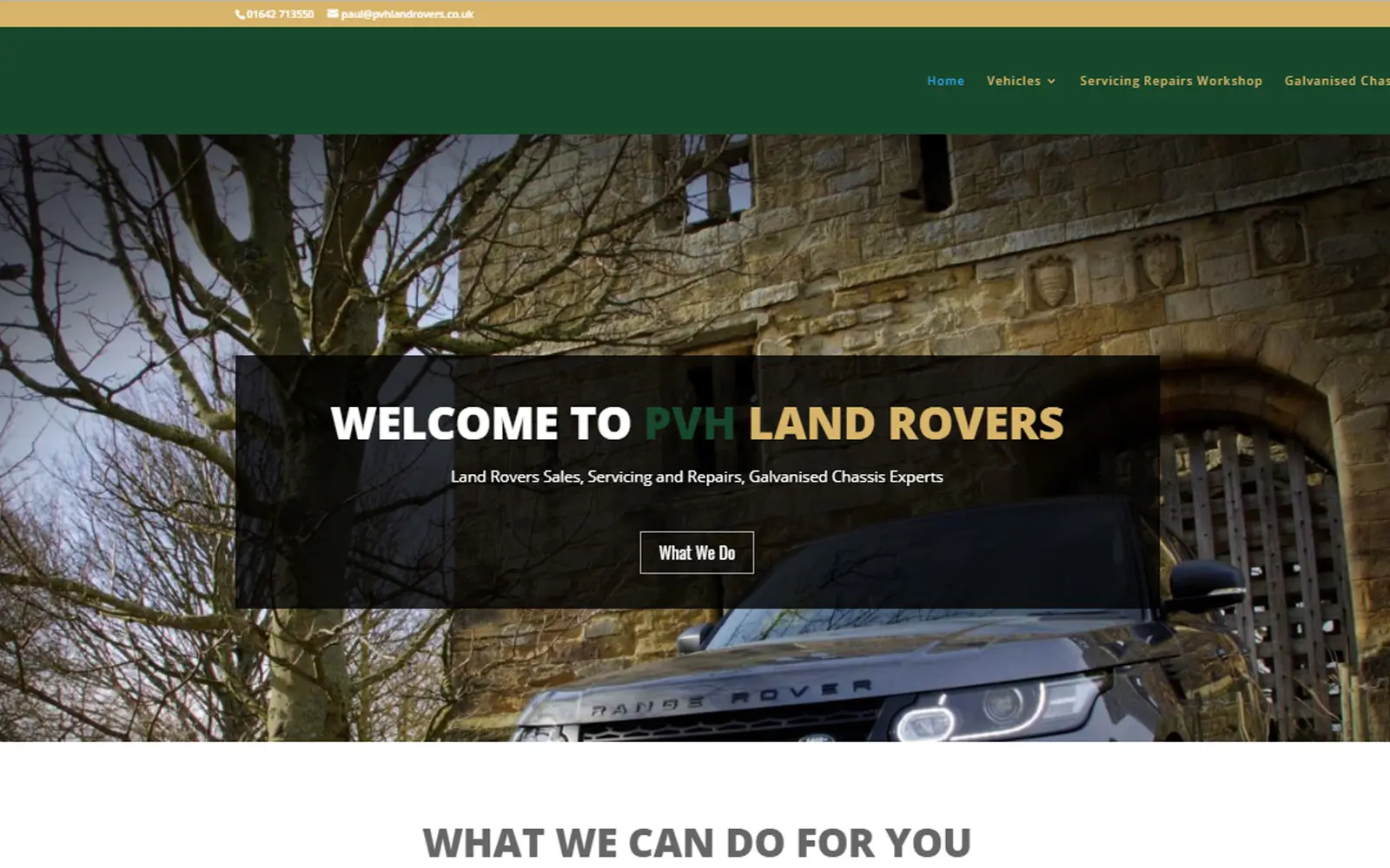 Antiguo Blue Web Development, SEO, E-commerce, and Branding Overview