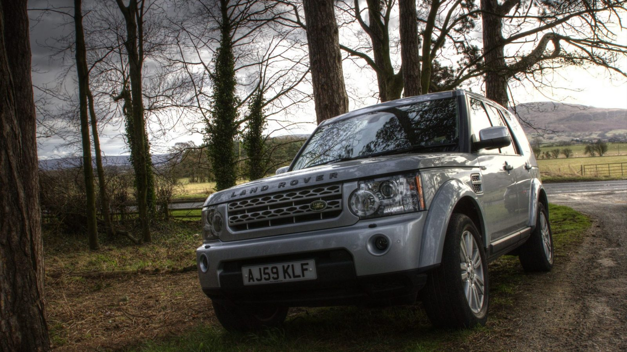 Blue Bee Dog Grooming Website Design | John Corner PVH 4x4 – Website Development, Custom Vehicle Catalogue & Photography