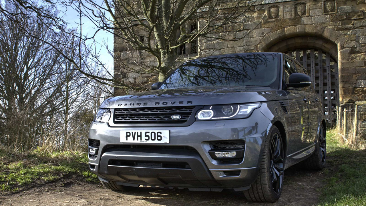 Blue Bee Dog Grooming Website Design | John Corner PVH 4x4 – Website Development, Custom Vehicle Catalogue & Photography