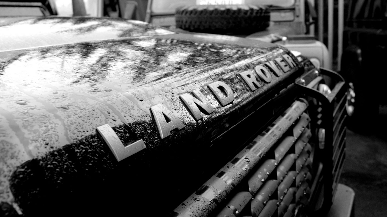 Blue Bee Dog Grooming Website Design | John Corner PVH 4x4 – Website Development, Custom Vehicle Catalogue & Photography