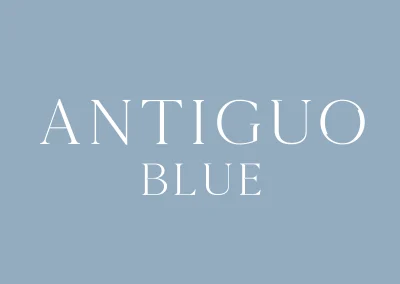 Antiguo Blue E-commerce Website, SEO, Branding